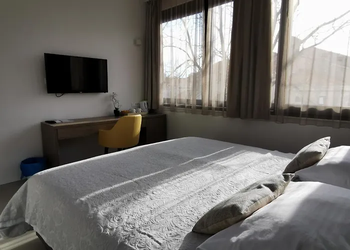 Luxury Pino Guest house